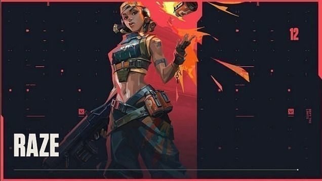VALORANT RAZE 3D print model