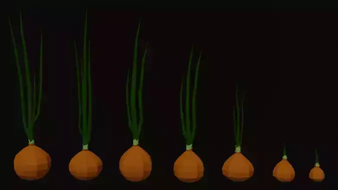 Seven low poly Onions Vegetables