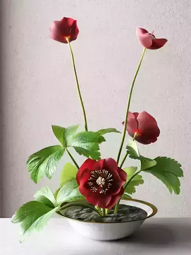 Hellebore Flower 3D model