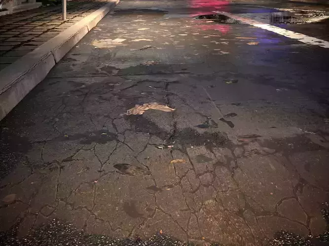 Wet Cracked Asphalt Road   Realistic 8K PBR Ground