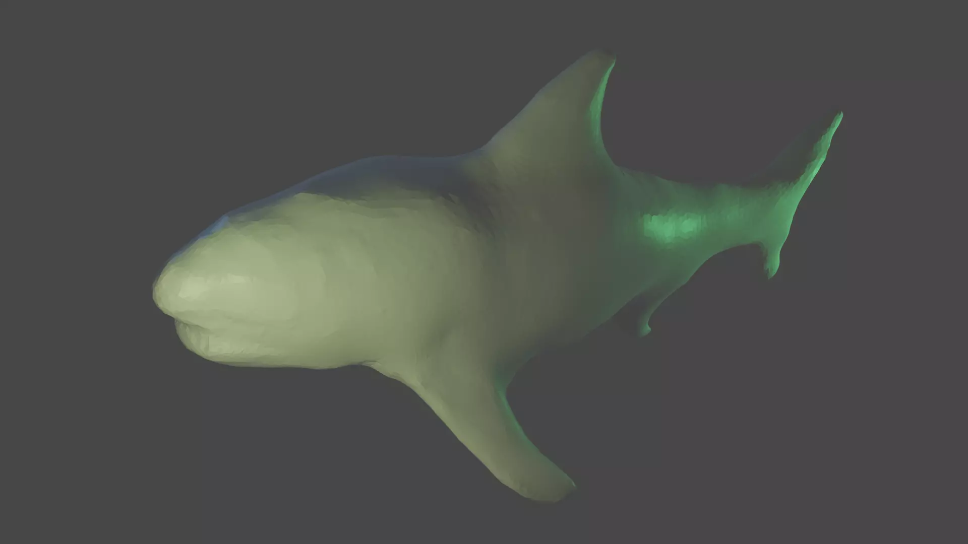 acula shark 3D model