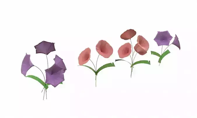 Flowers calla lilies