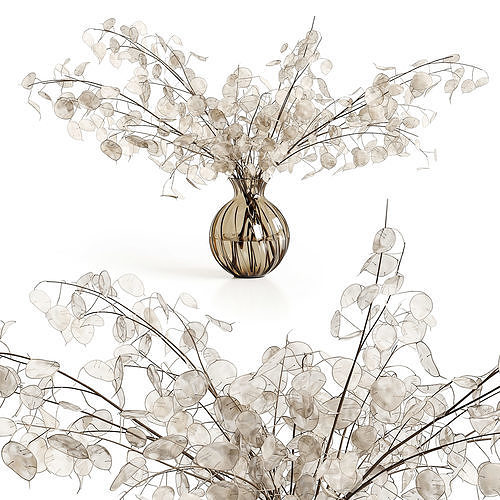 A bouquet of lunaria 3D model