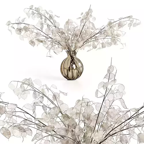 A bouquet of lunaria 3D model