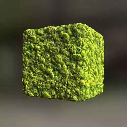 Seamless PBR Moss textures