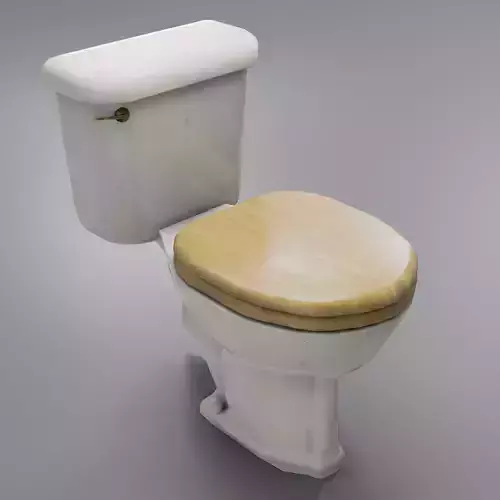 Grungy Toilet Low-poly 3D model