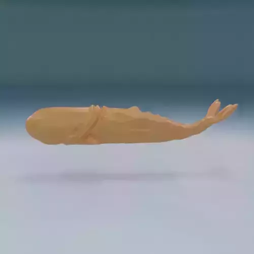 Moby Dick 3D print model