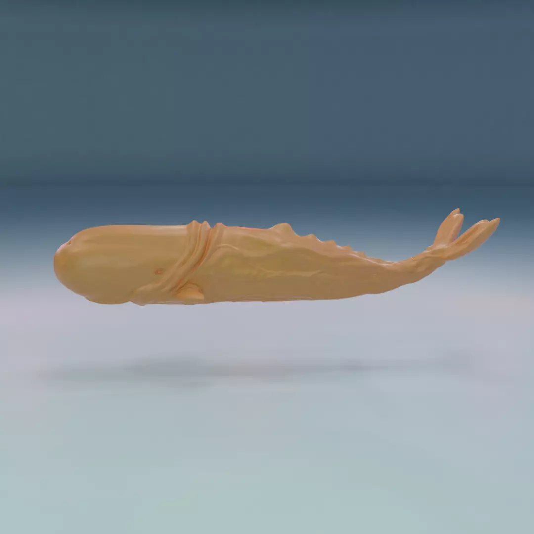 Moby Dick 3D print model_0