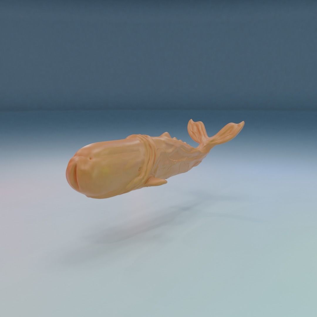 Moby Dick 3D print model_1