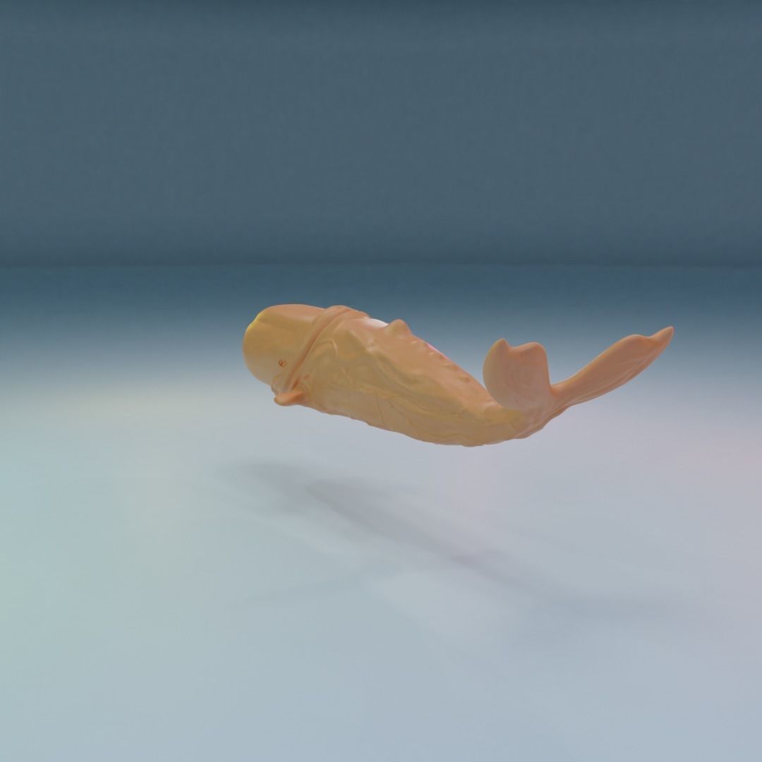 Moby Dick 3D print model_2