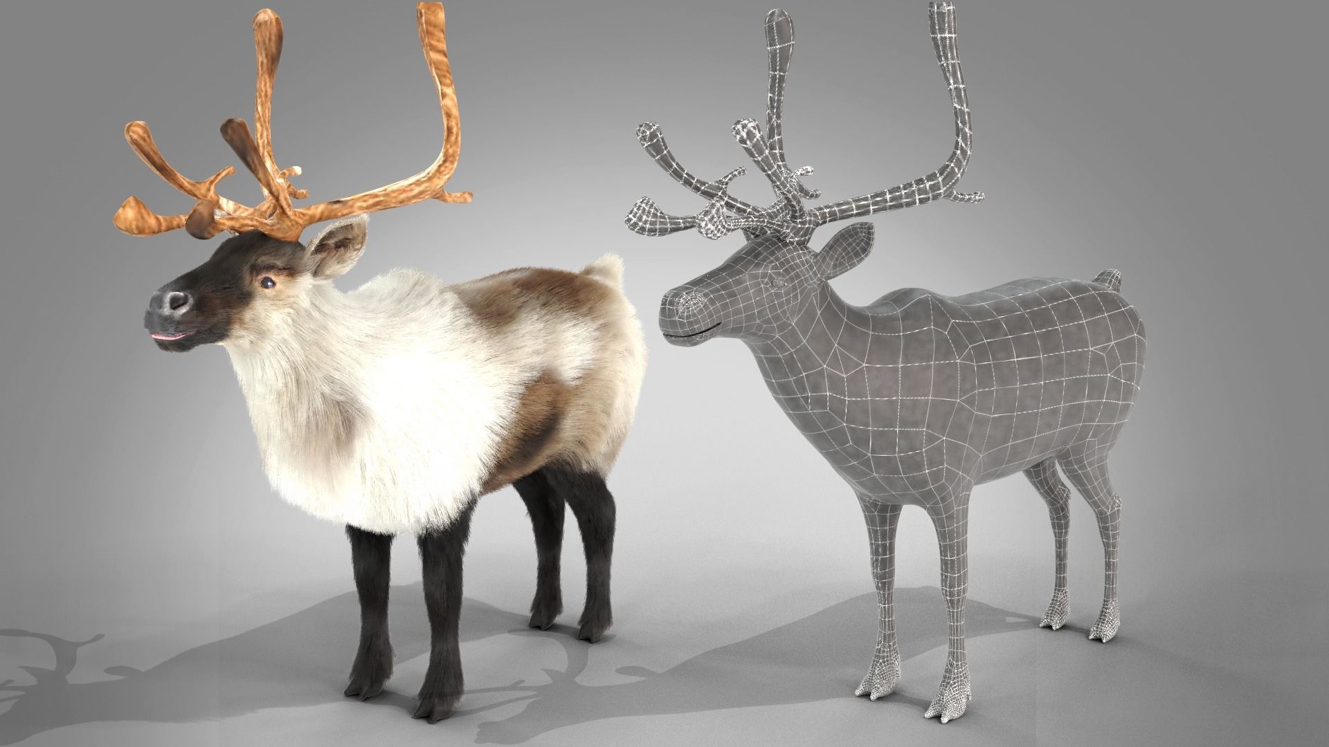 Fur Reindeer Rigged Blender  Low-poly 3D model_10
