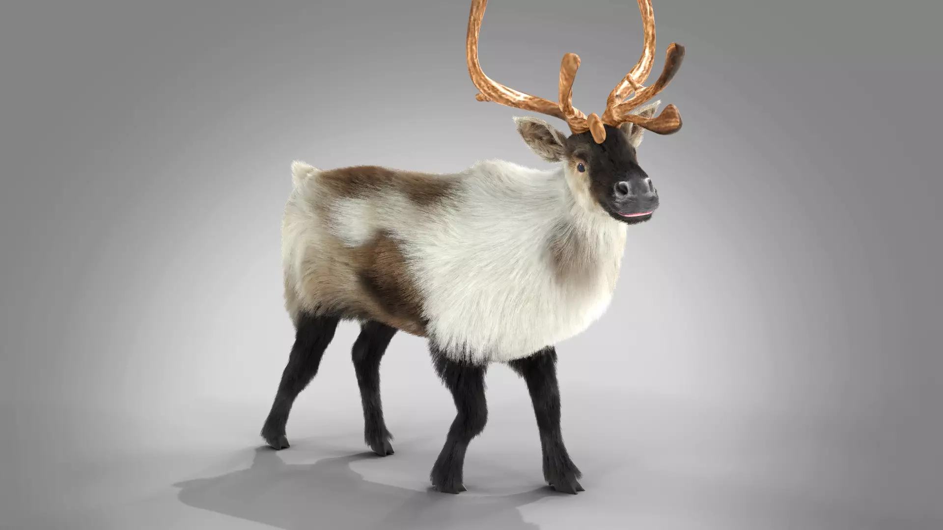 Fur Reindeer Rigged Blender  Low-poly 3D model_0