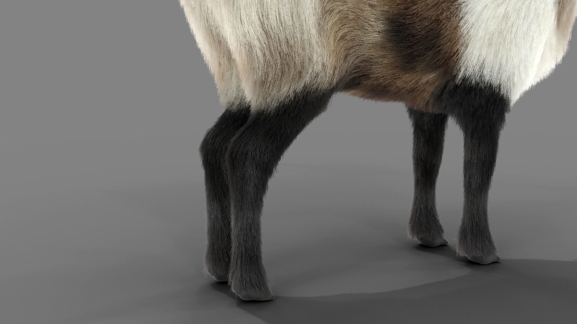 Fur Reindeer Rigged Blender  Low-poly 3D model_9