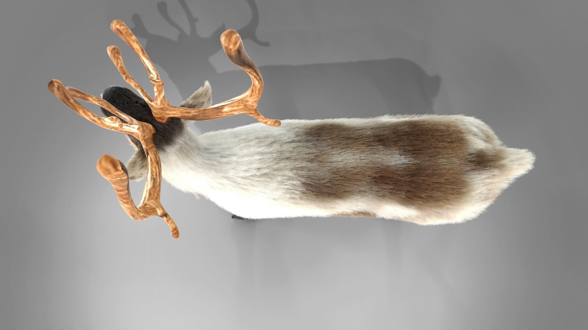 Fur Reindeer Rigged Blender  Low-poly 3D model_5