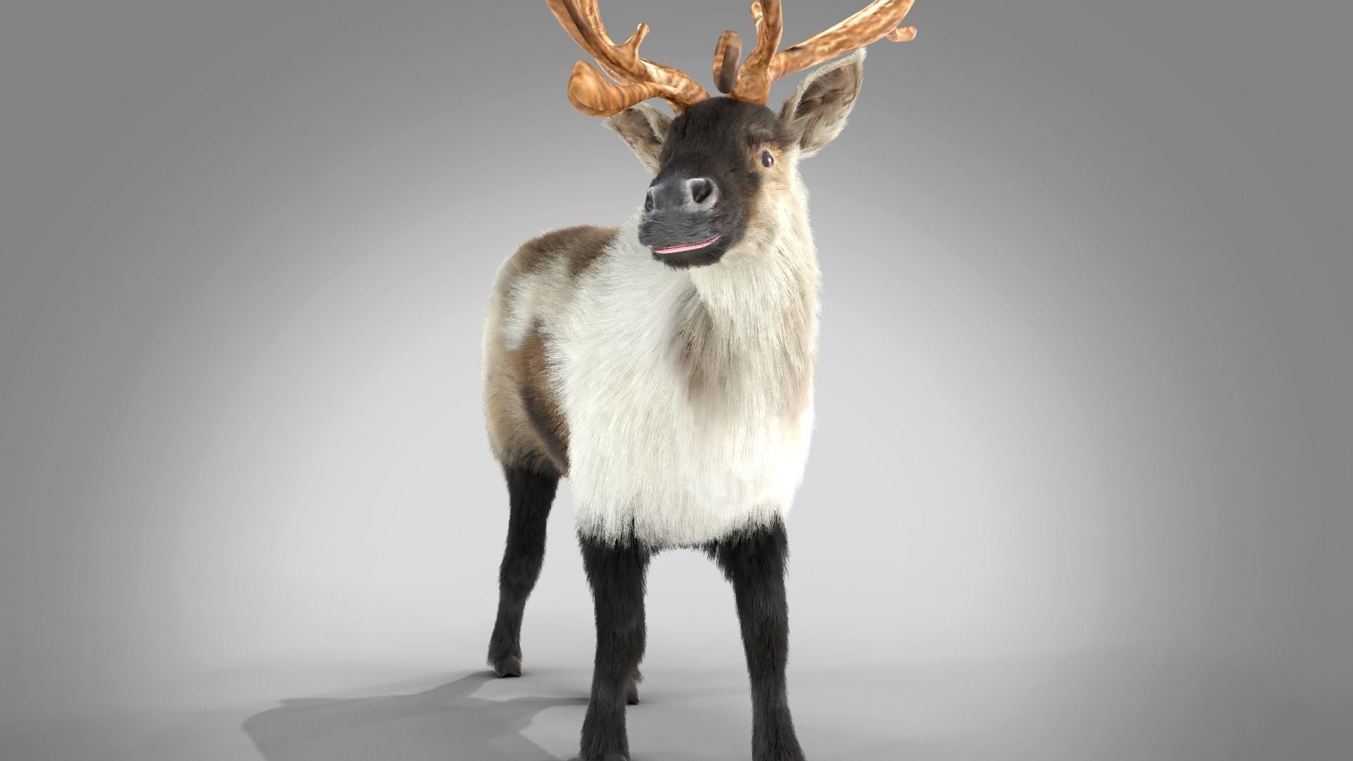 Fur Reindeer Rigged Blender  Low-poly 3D model_2