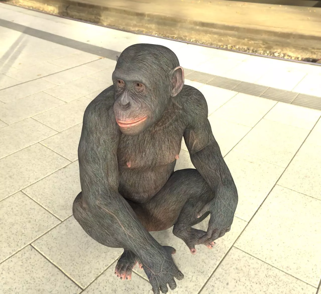 Ape monkey 3d model 3D model_0