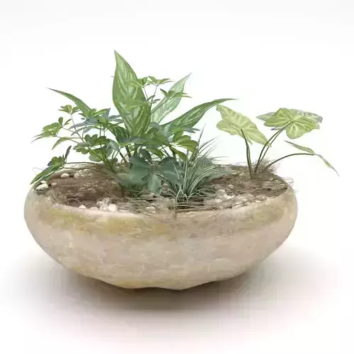 Indoor Planter Free 3D model