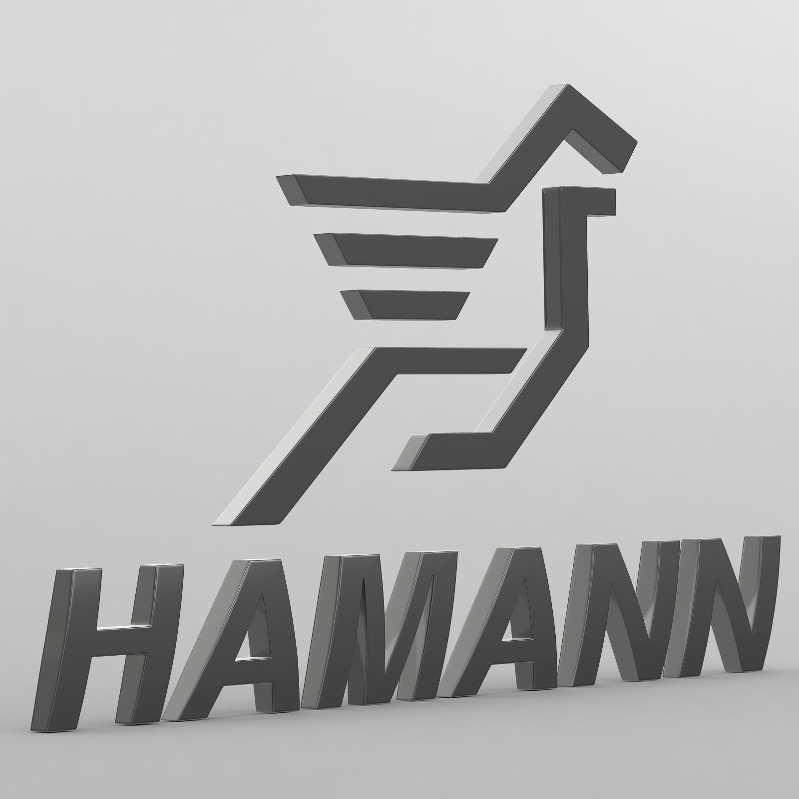 hamann logo 3D model_7