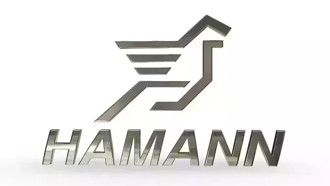 hamann logo