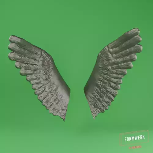 Wing 02 3D print model Wing 02 3D print model