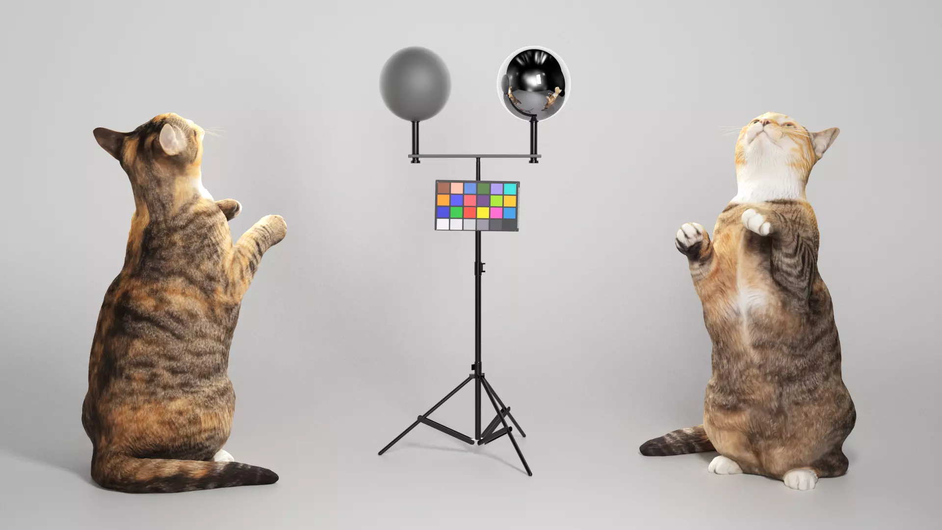 Calico cat 10 Low-poly 3D model_0