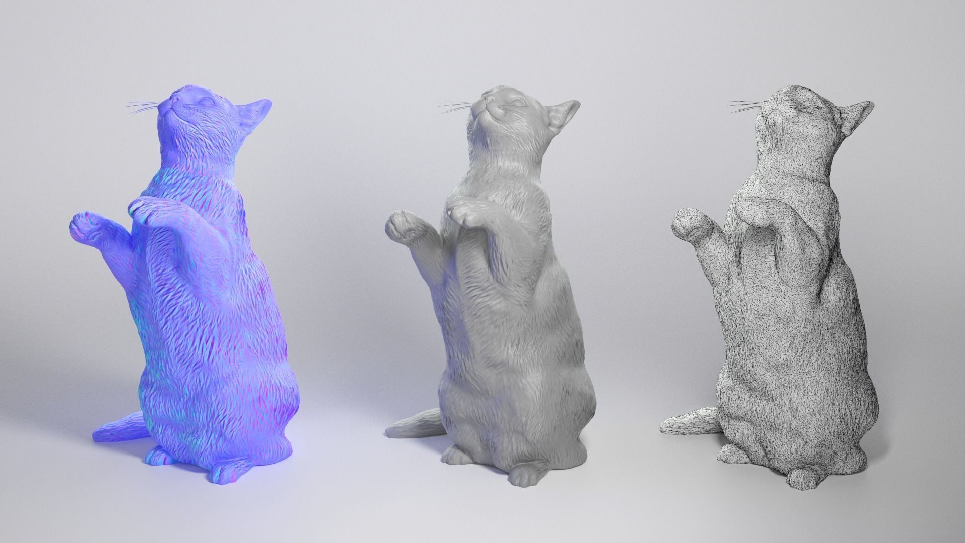 Calico cat 10 Low-poly 3D model_3