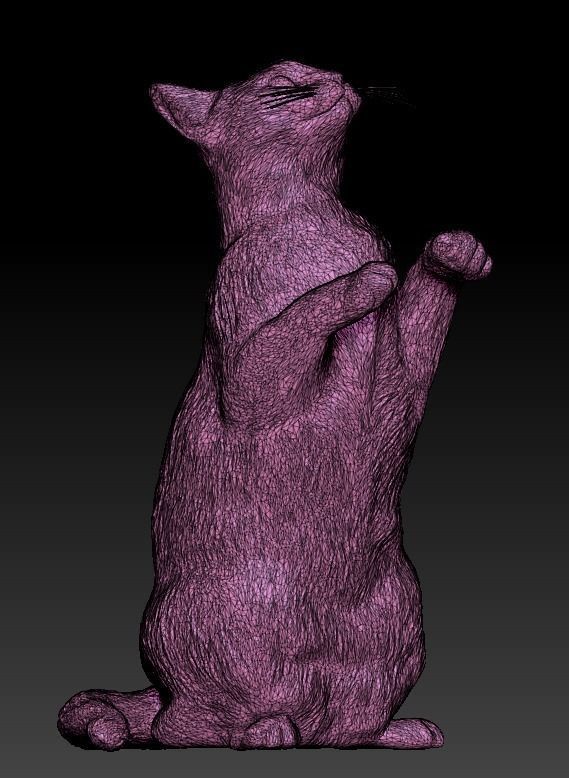 Calico cat 10 Low-poly 3D model_6