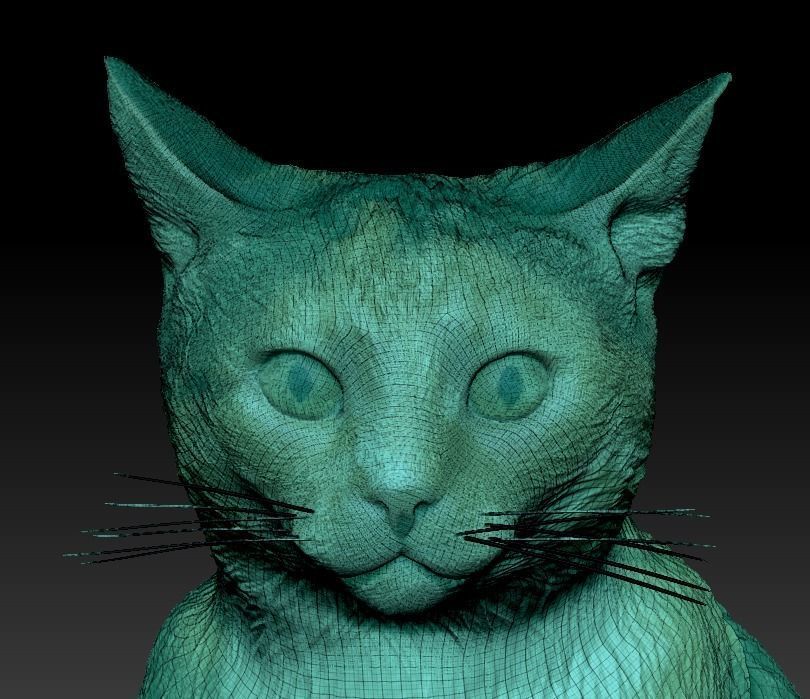 Calico cat 10 Low-poly 3D model_5