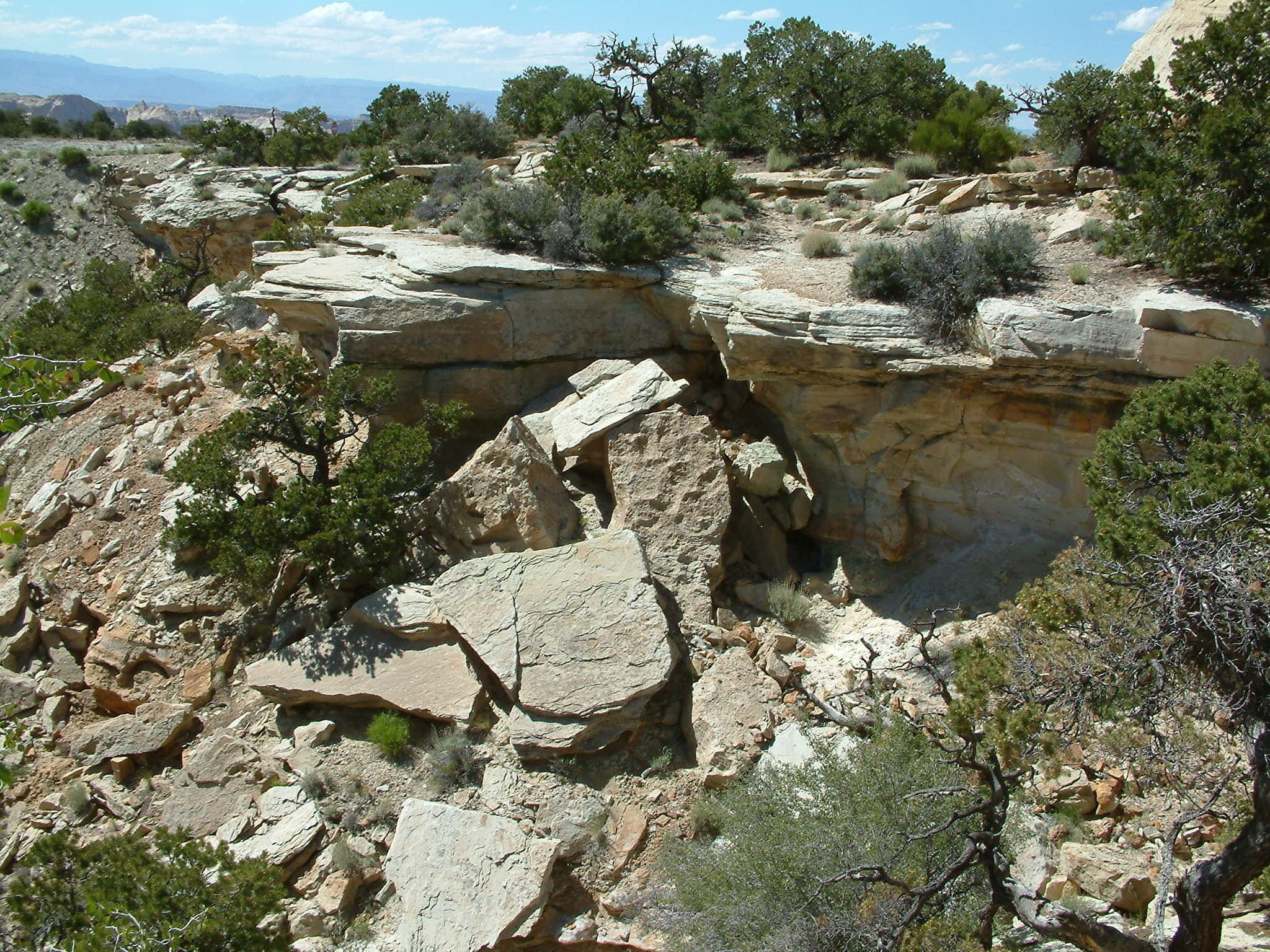 Hammer Free low-poly 3D model_6