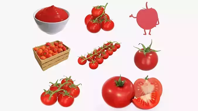 We LoVe Tomato 3D Model Collection