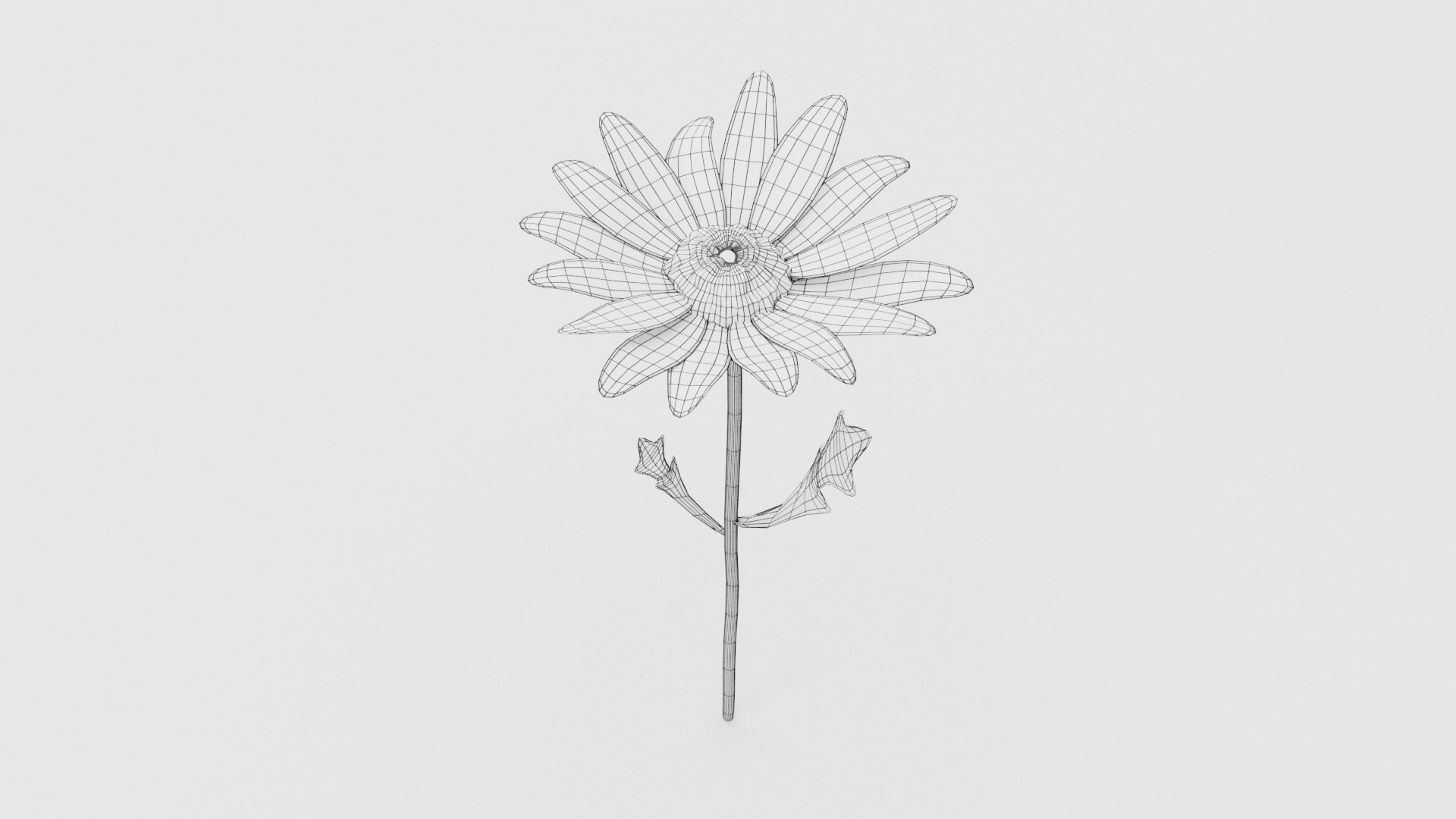 White Daisy Low-poly 3D model_6