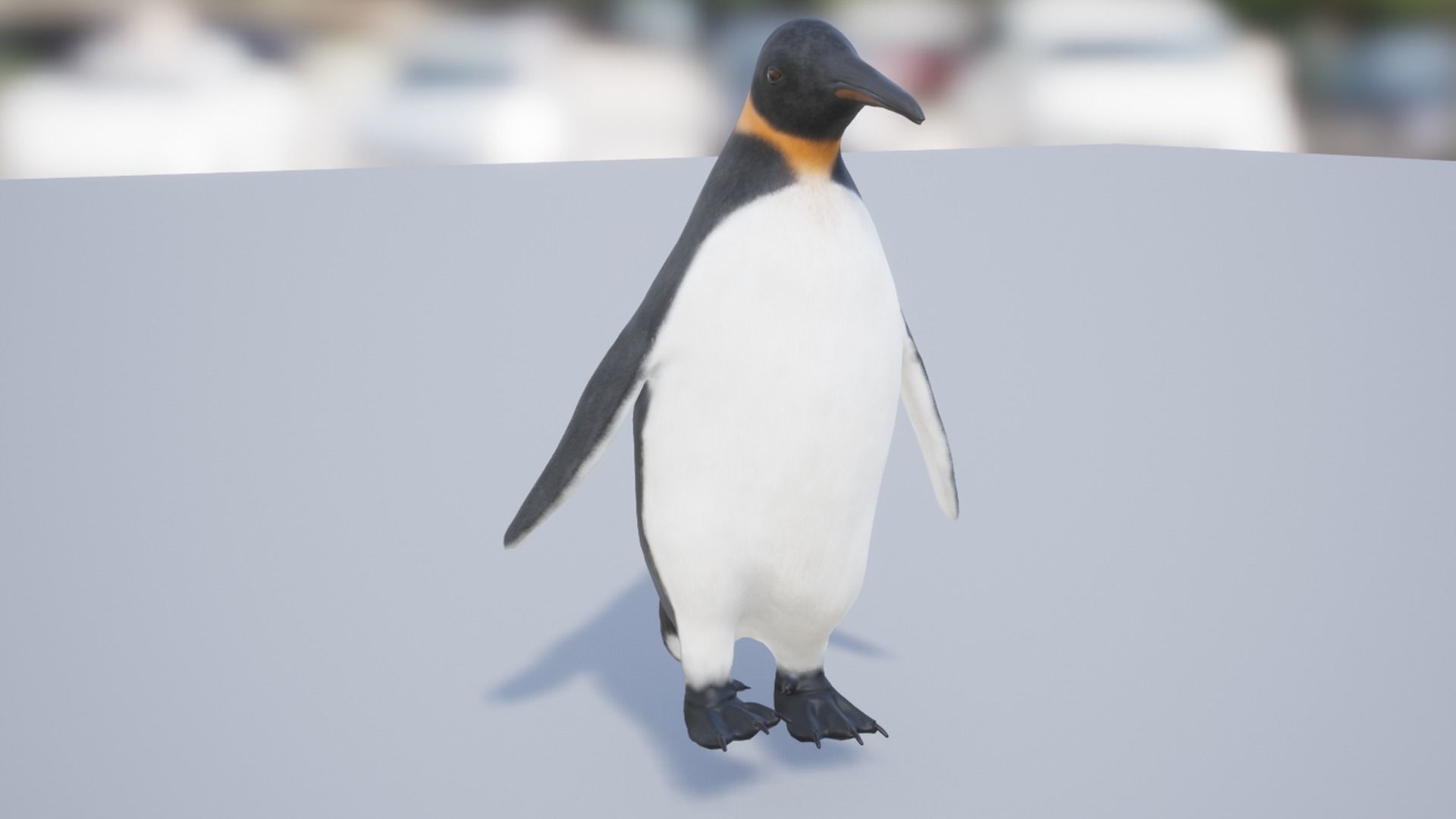 Penguin Low-poly 3D model_4