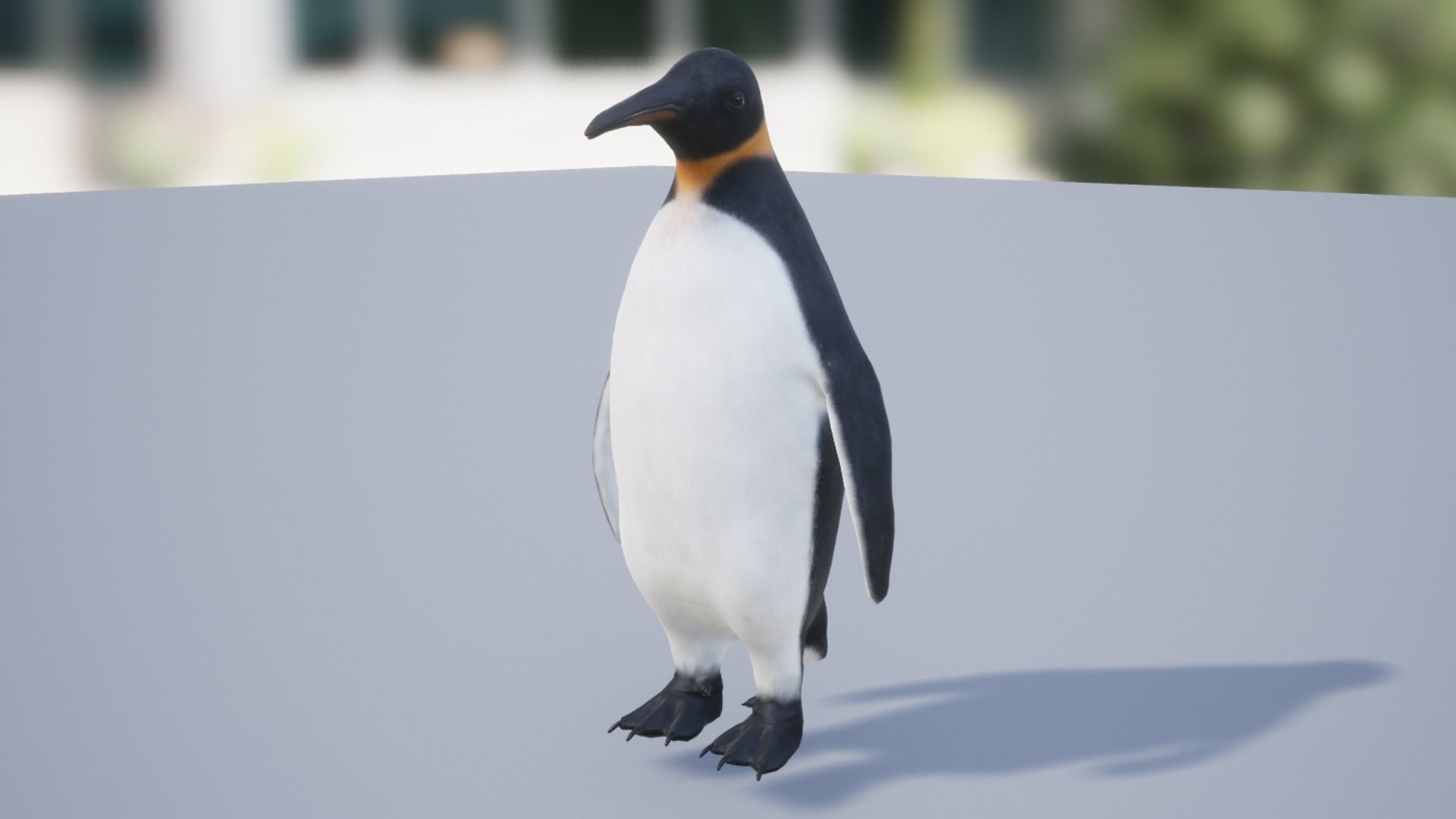 Penguin Low-poly 3D model_5