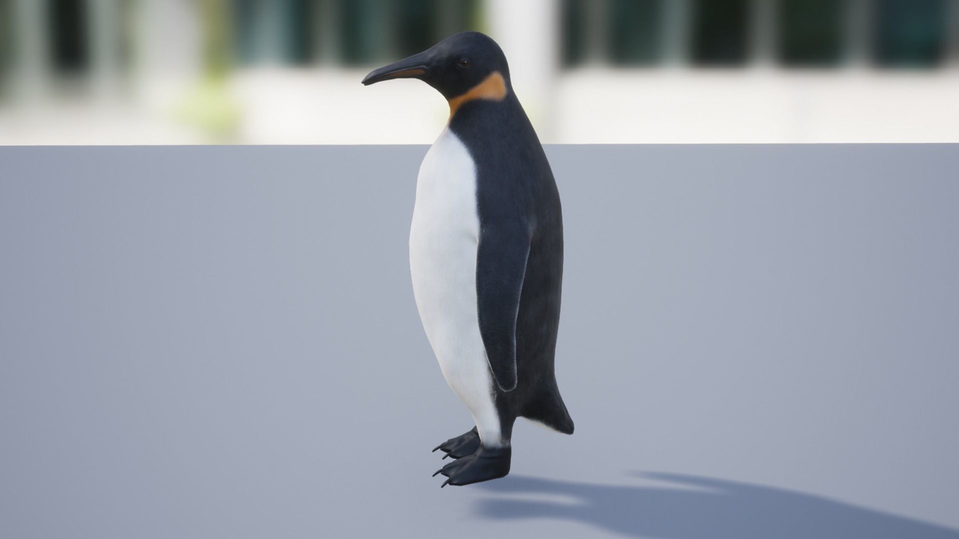 Penguin Low-poly 3D model_3