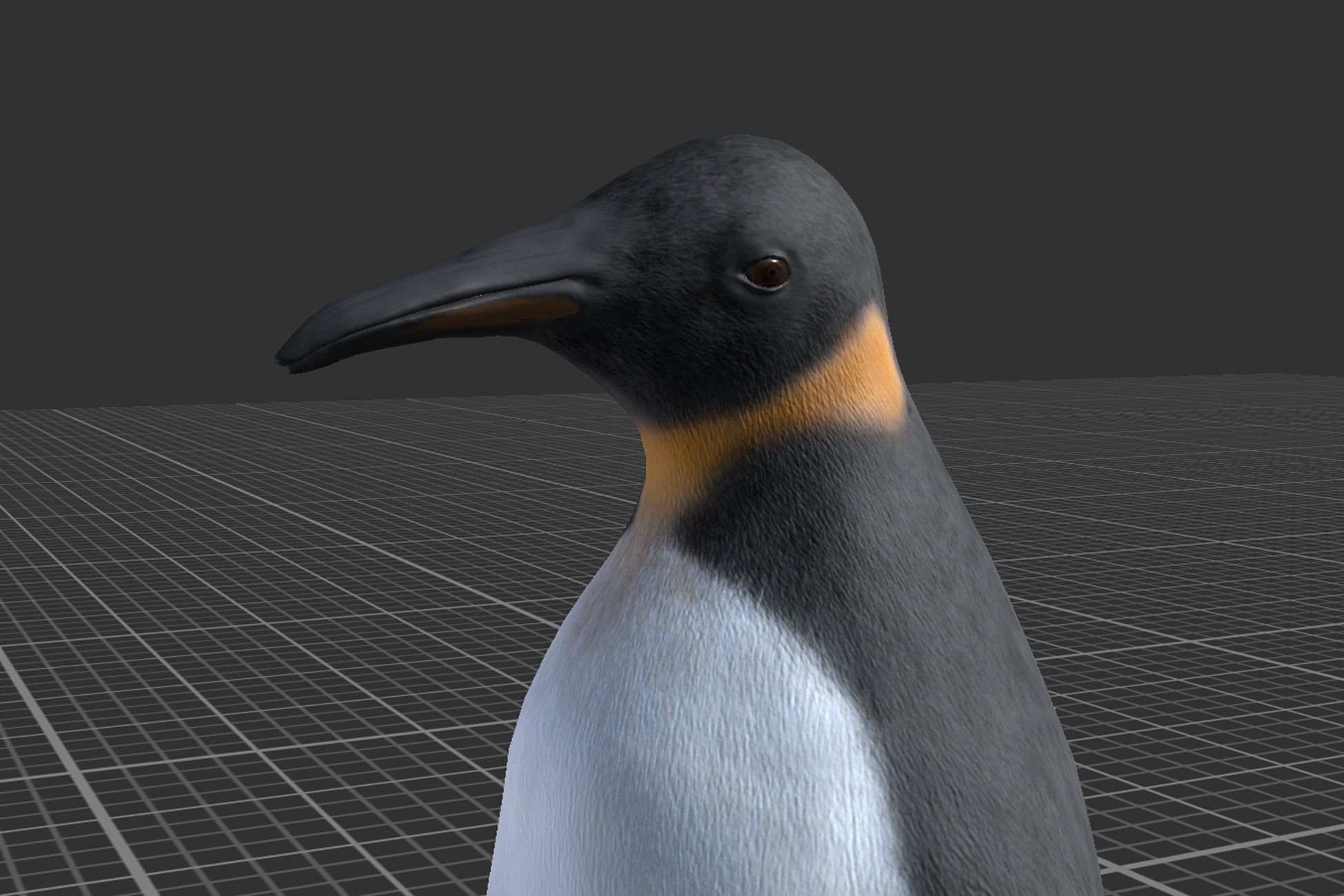 Penguin Low-poly 3D model_8