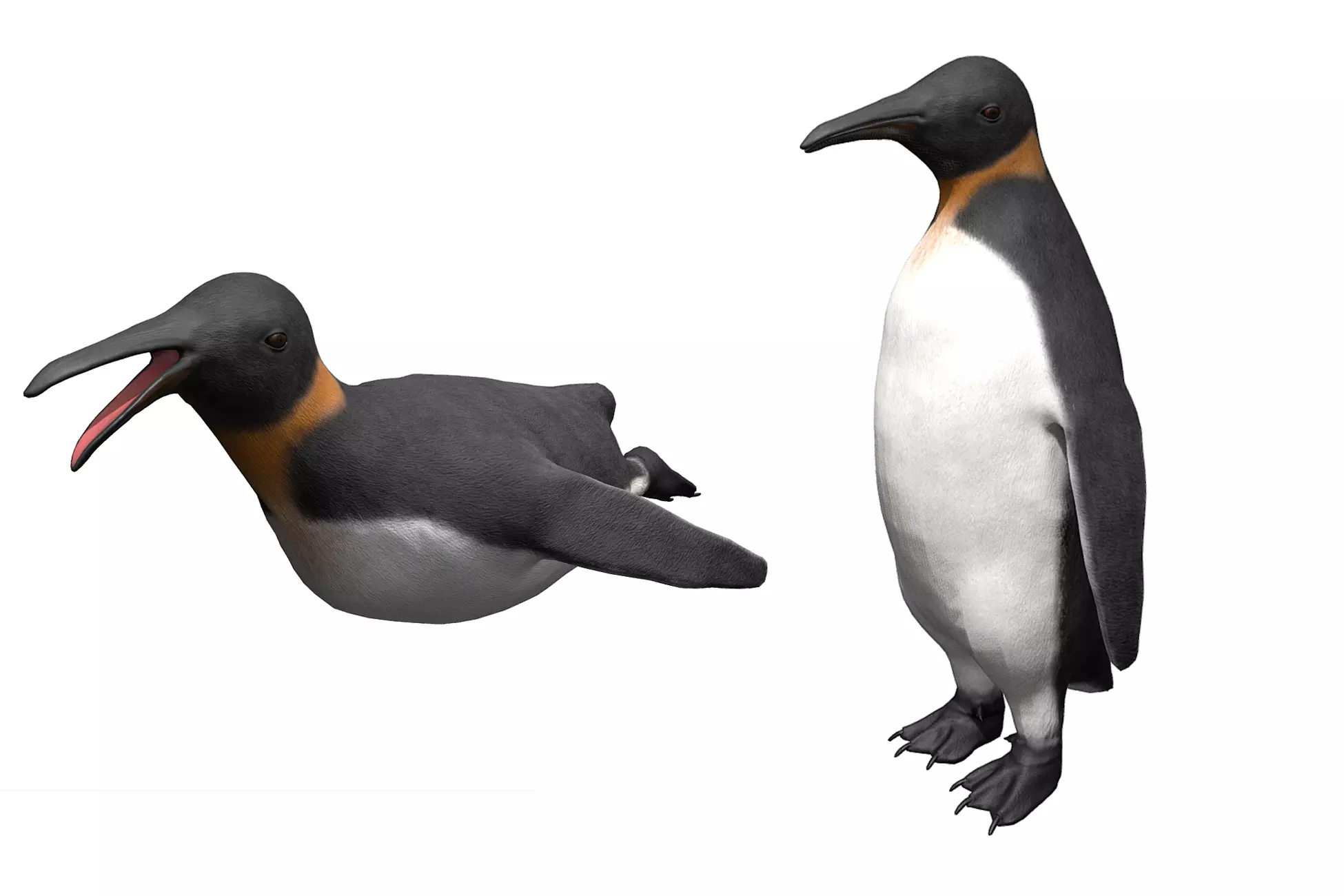 Penguin Low-poly 3D model_0