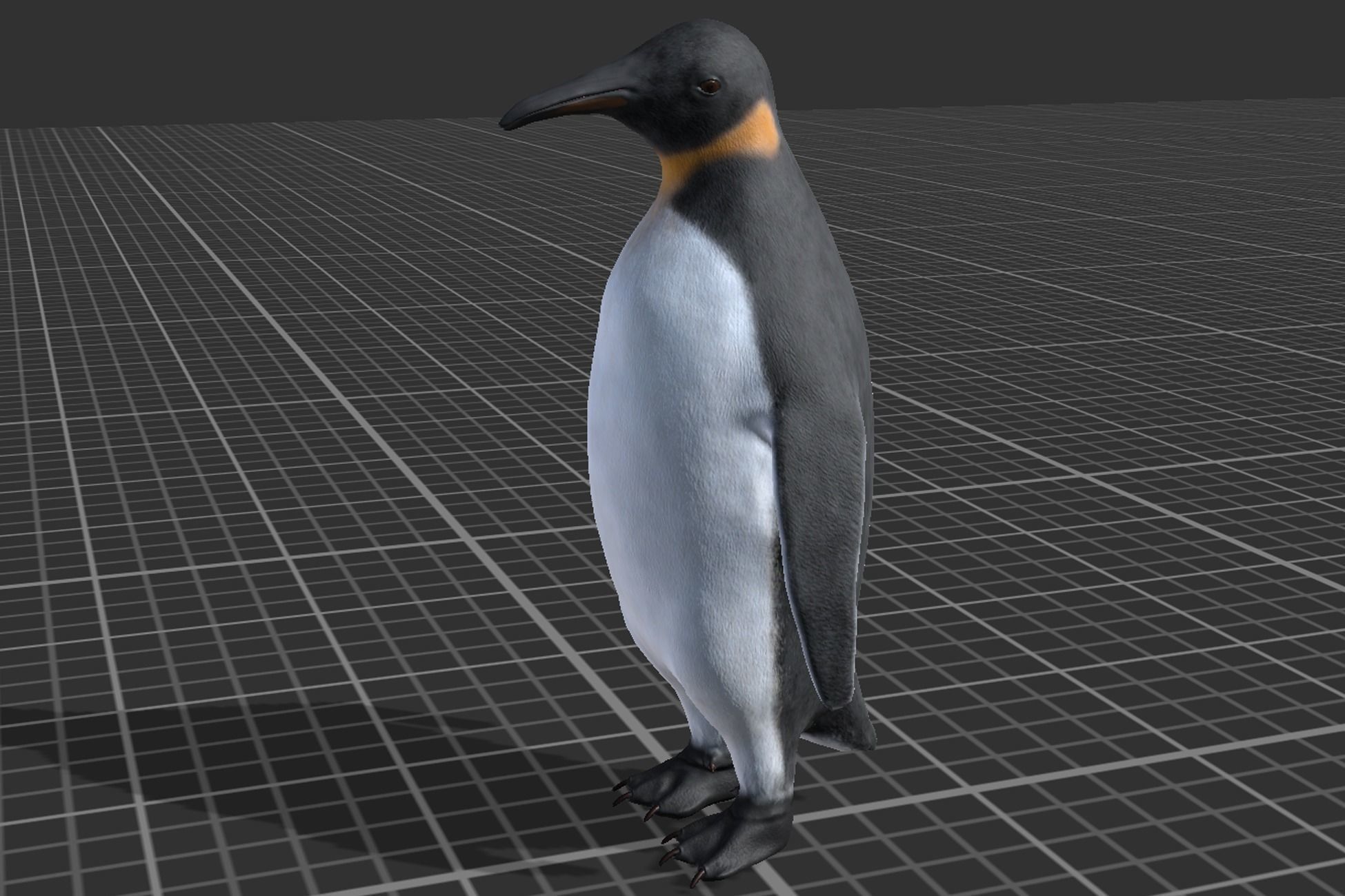 Penguin Low-poly 3D model_6