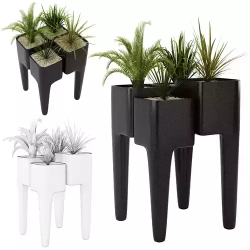 Collection luxter plant vol 1