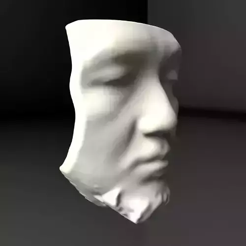Self Portrait 3D Scan Free 3D model