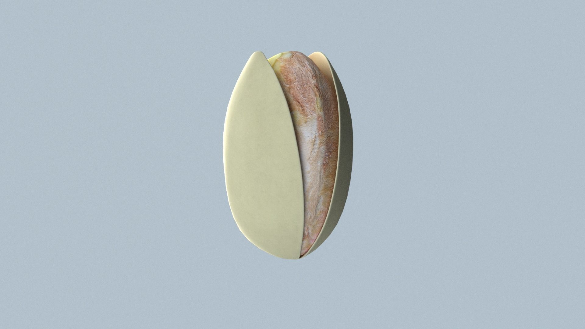 Pistachios nut Low-poly 3D model_8