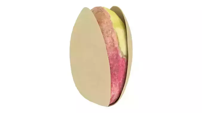 Pistachios nut Low-poly 3D model