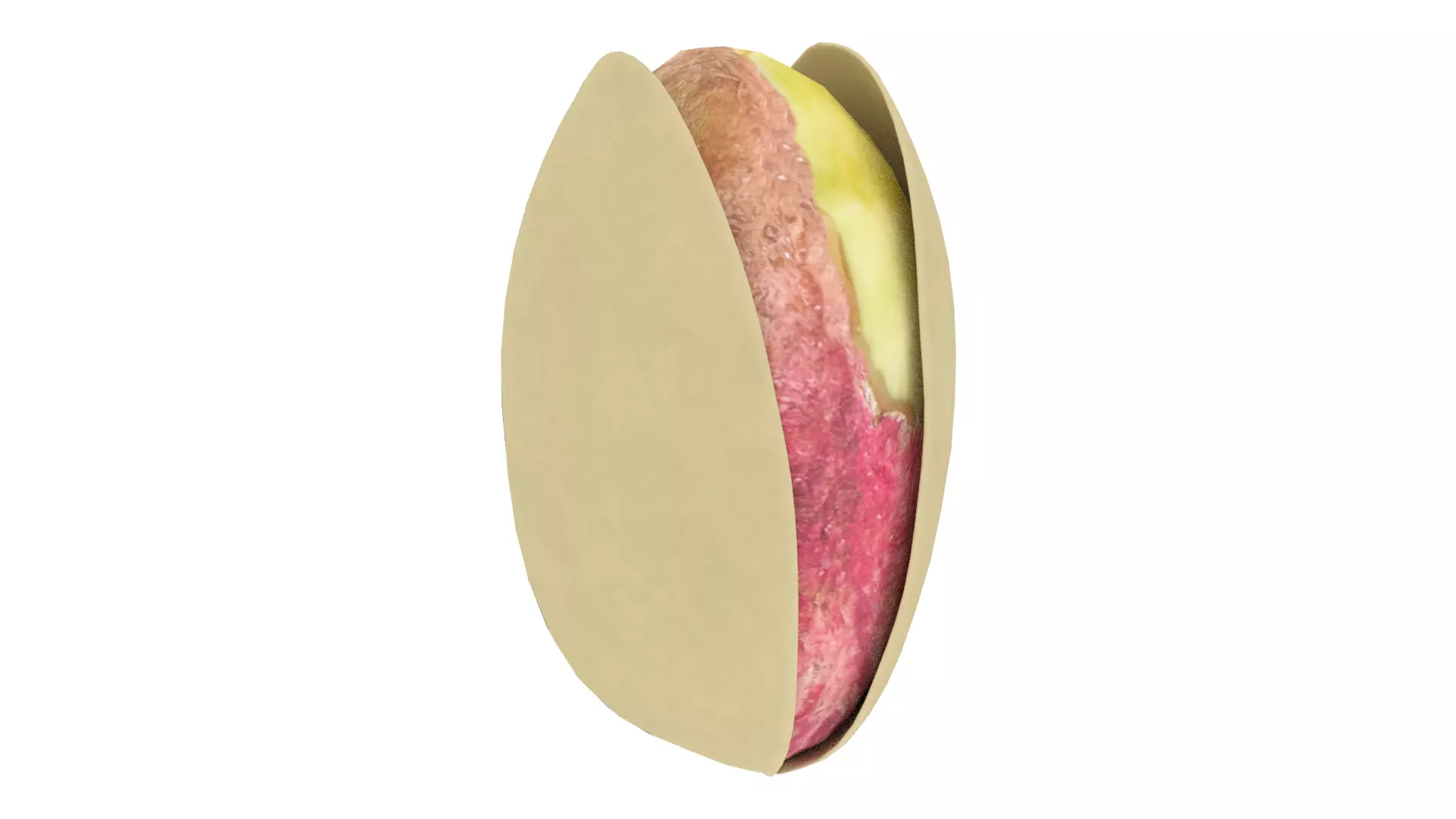 Pistachios nut Low-poly 3D model_0