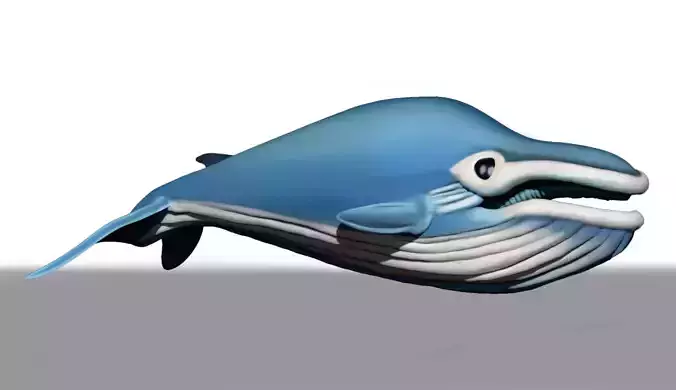 Whale ZTL Sculpt 3D model