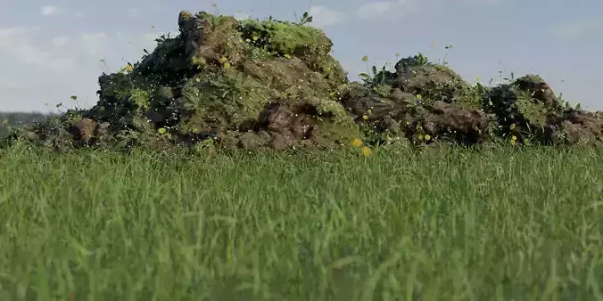 Heap of Soil 3D model