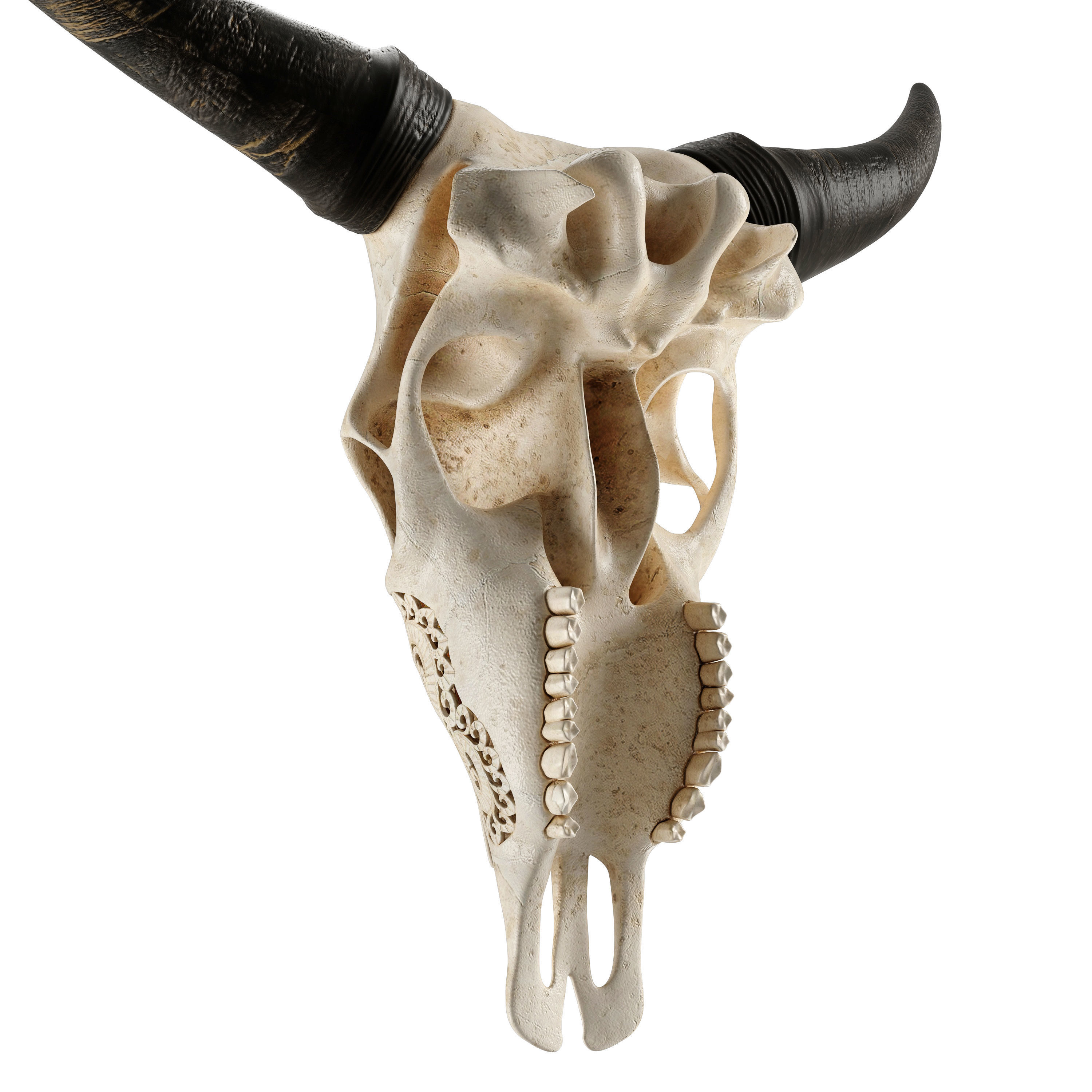 Carved cow skull 3D model_3