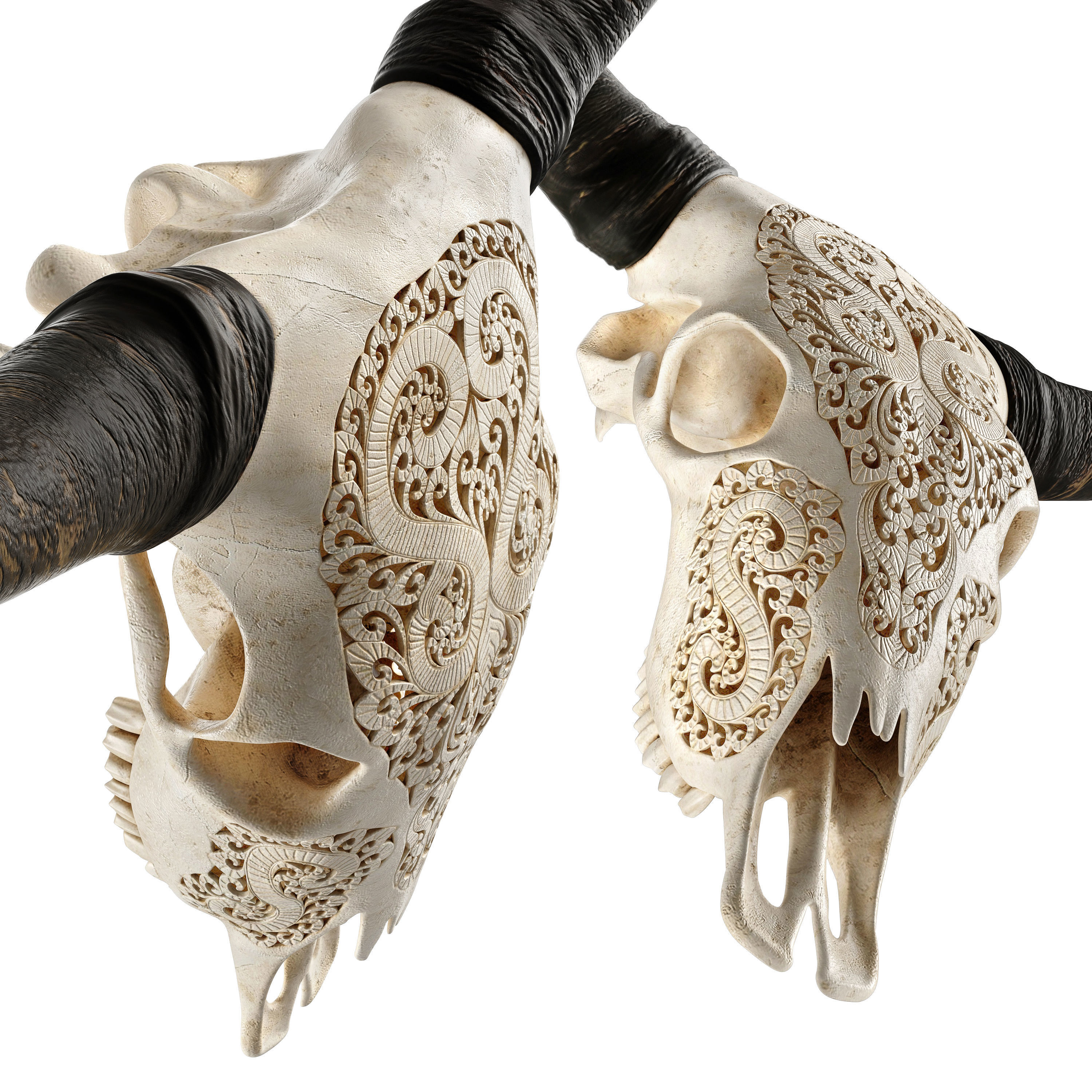 Carved cow skull 3D model_2
