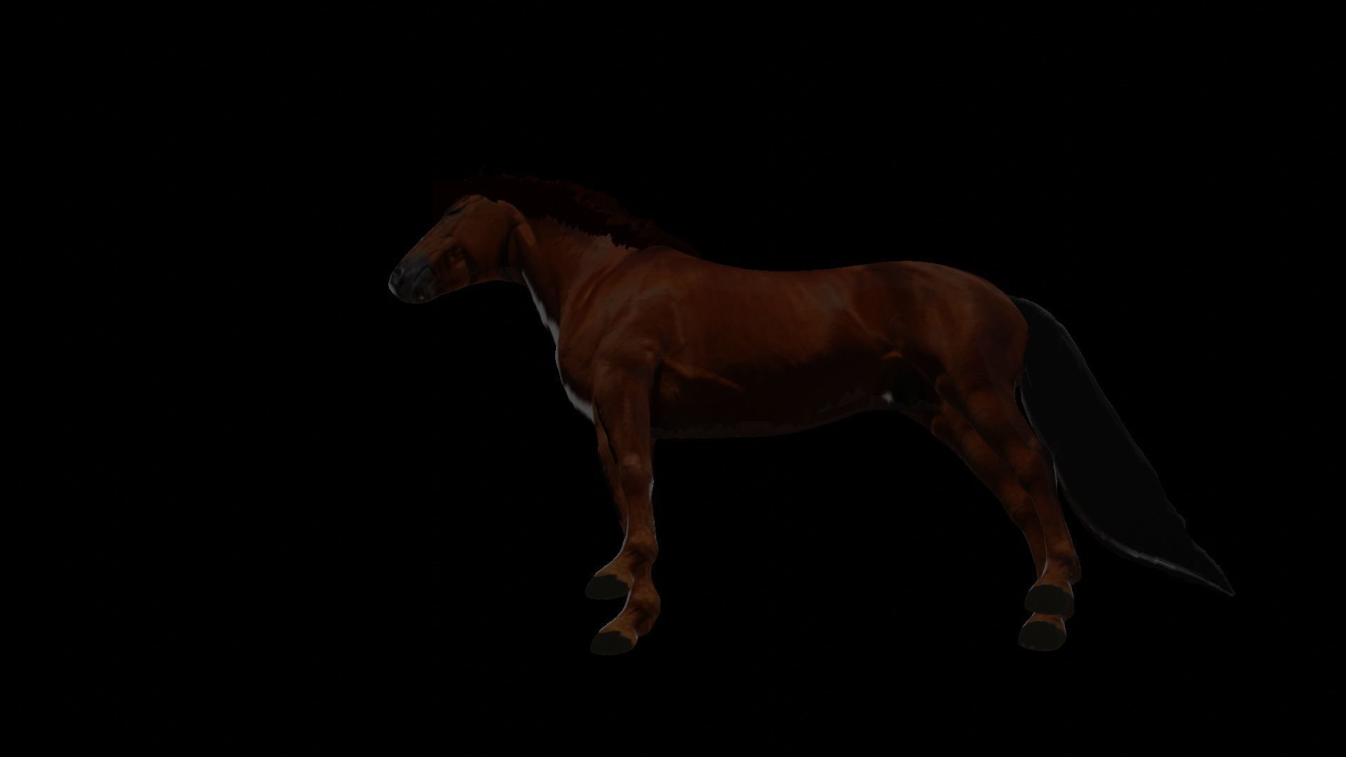 horse 3D model_5