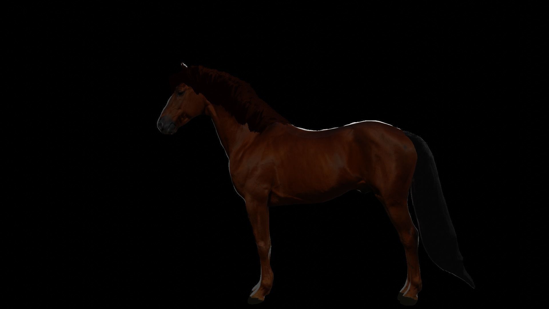 horse 3D model_4