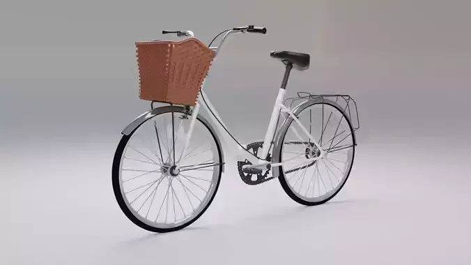 bycicel bicycle with basket