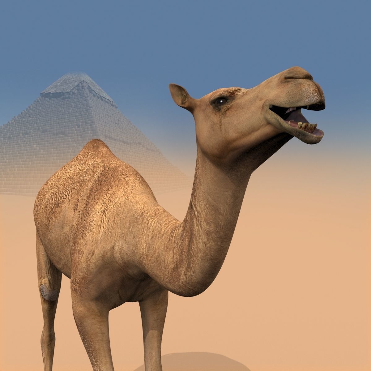 Pro Camel 8K - 3d animated model 3D model_24